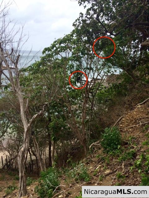 Amazing ocean views and walking distance to the beach