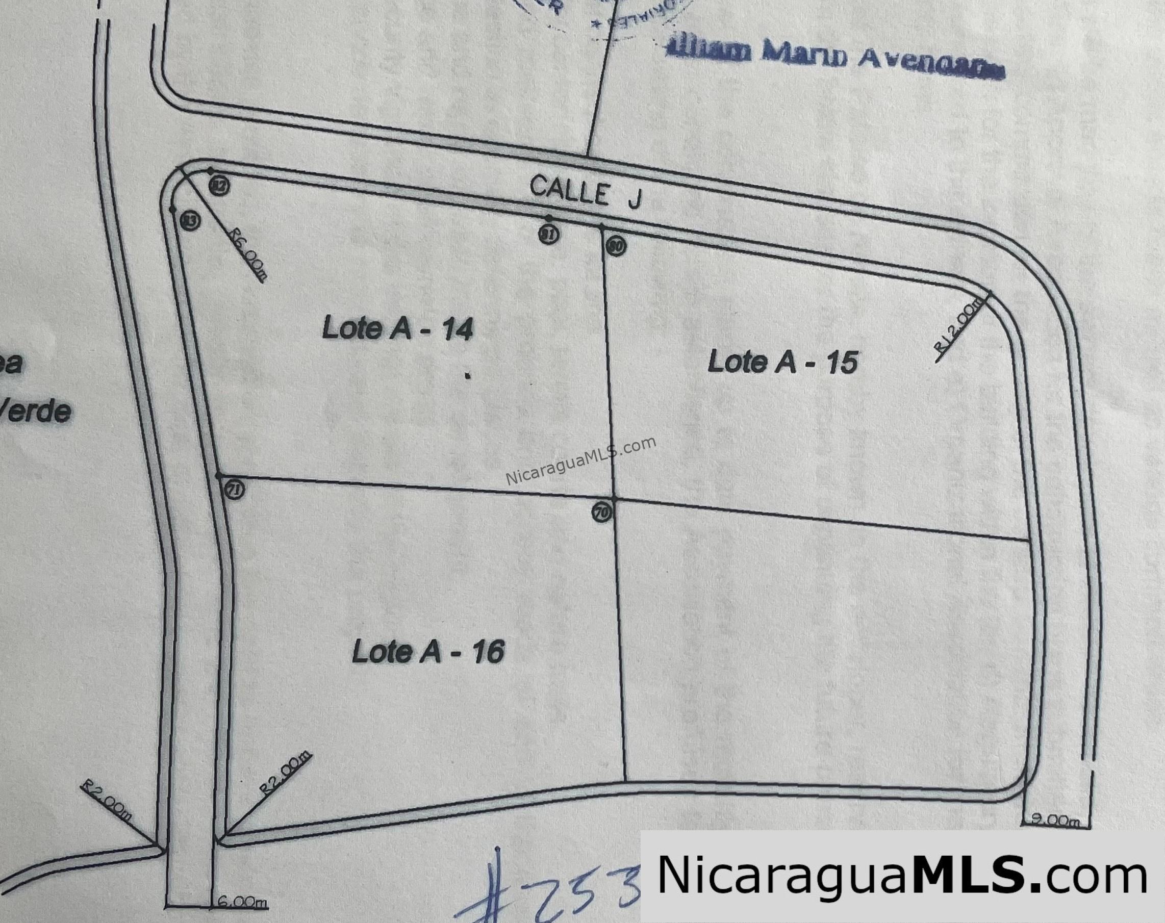 Half Acre Lot Luxury Life Development TreeCasa FIRE SALE