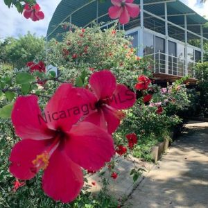 SOLD - Modern Container Home with Beautiful Ocean View