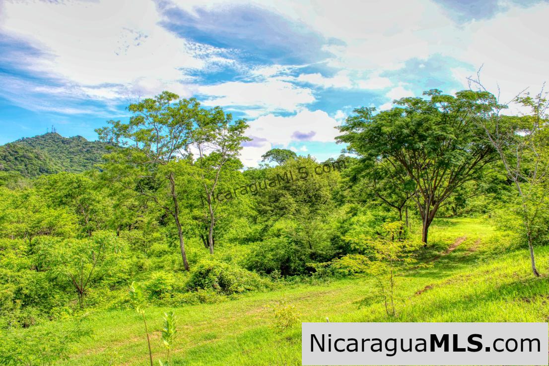 Panoramic View Estate 3 bed house 8.5 Acres in El Oro