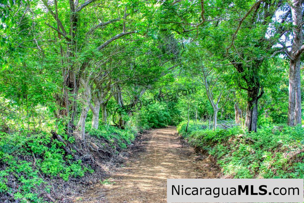 Panoramic View Estate 3 bed house 8.5 Acres in El Oro