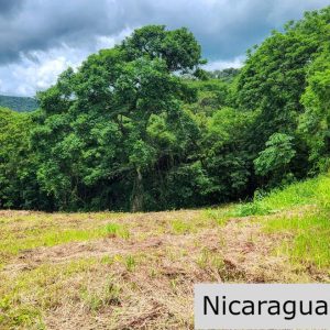 Ocean View Vacant Lot in Villas Oro San Juan del Sur
