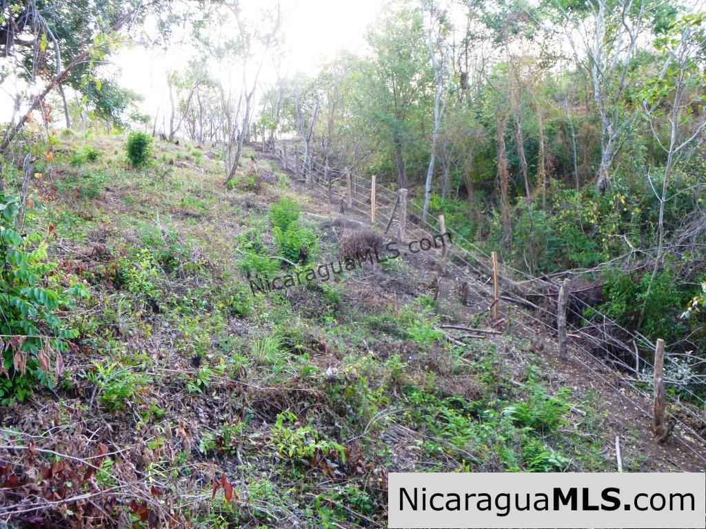 Las Escaleras Lot #2 200 Degree Views from this Hilltop Lot