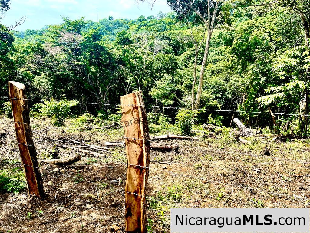 Beautiful lot within walking distance of Playa Maderas
