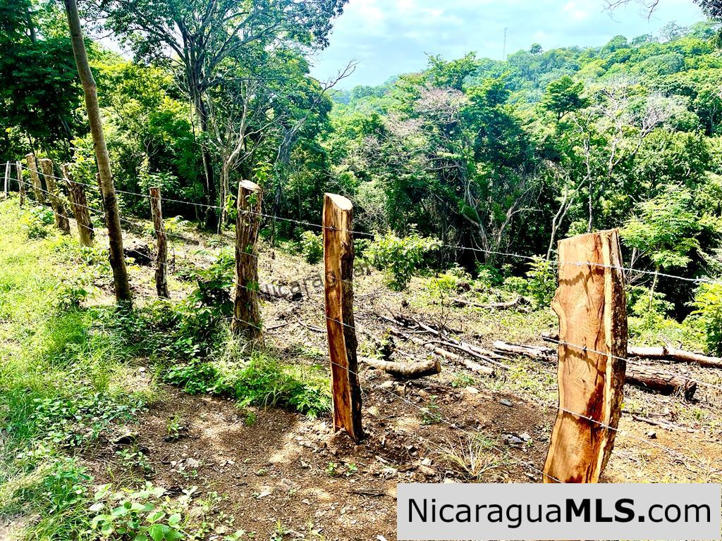 Beautiful lot within walking distance of Playa Maderas