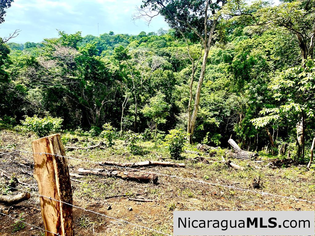 Beautiful lot within walking distance of Playa Maderas