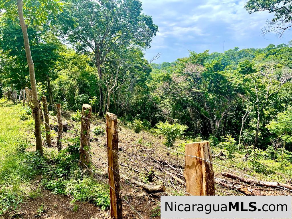 Beautiful lot within walking distance of Playa Maderas