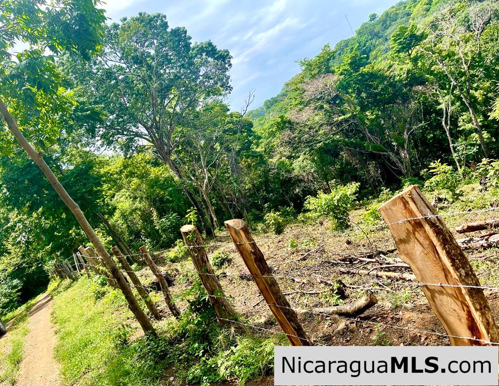 Beautiful lot within walking distance of Playa Maderas