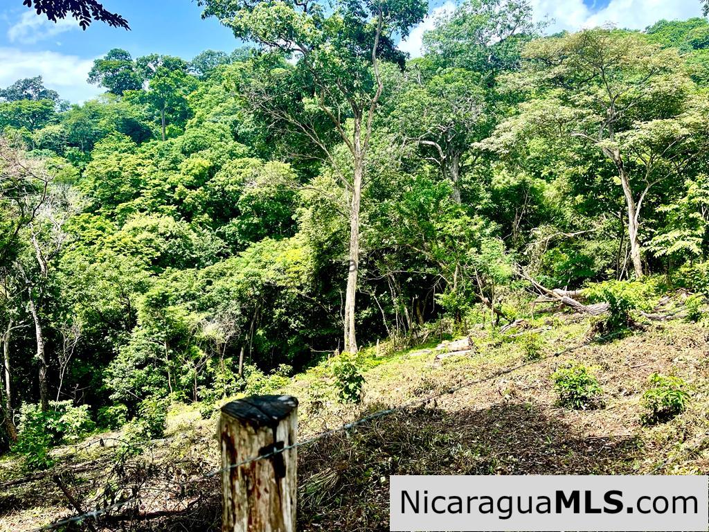 Beautiful lot within walking distance of Playa Maderas