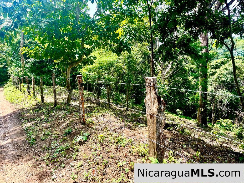 Beautiful lot within walking distance of Playa Maderas
