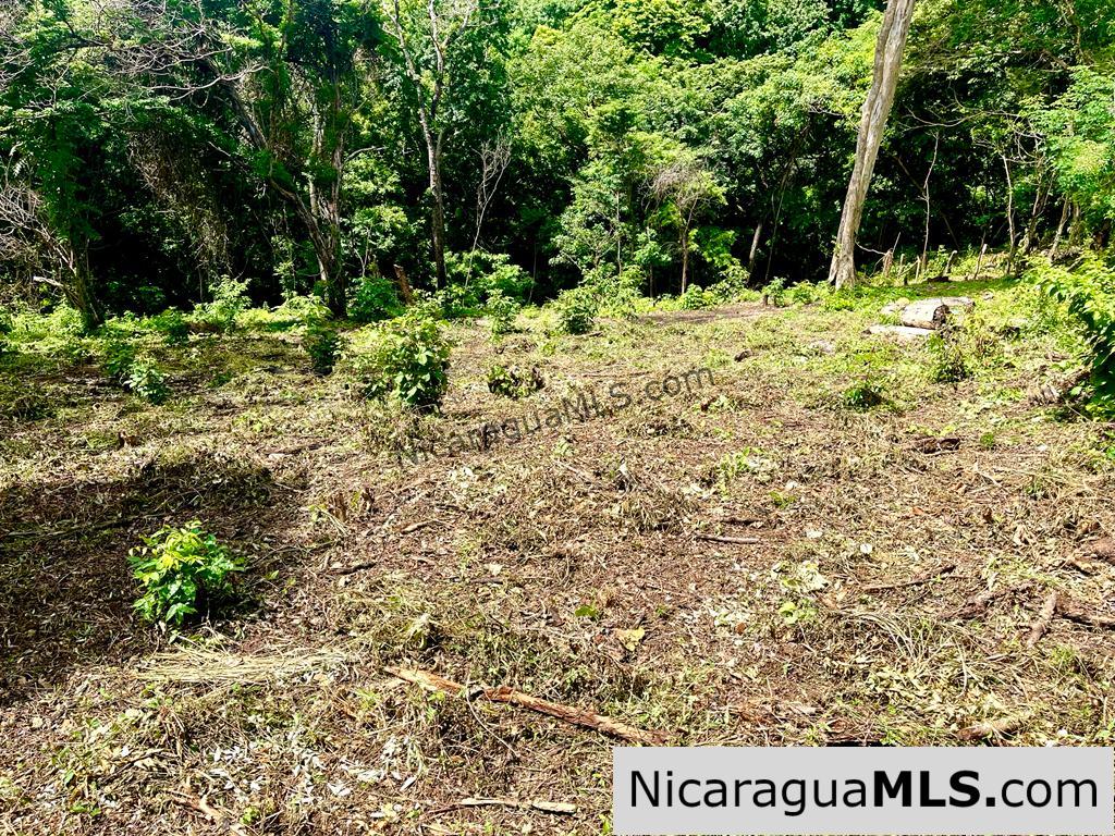 Beautiful lot within walking distance of Playa Maderas