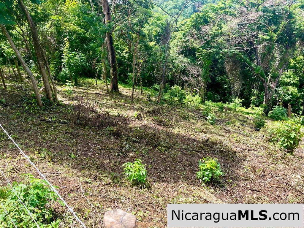 Beautiful lot within walking distance of Playa Maderas