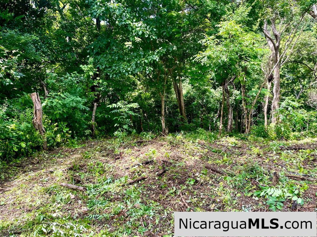 Beautiful lot within walking distance of Playa Maderas