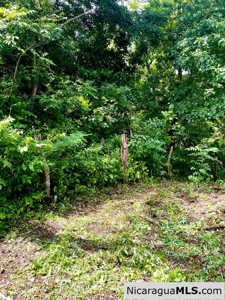 Beautiful lot within walking distance of Playa Maderas