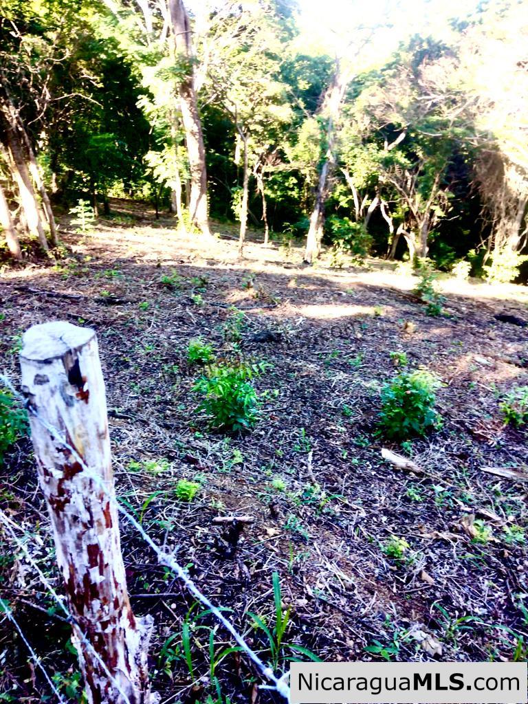 Beautiful lot within walking distance of Playa Maderas