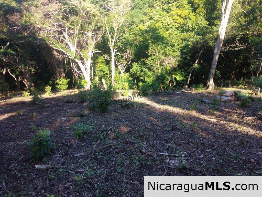 Beautiful lot within walking distance of Playa Maderas