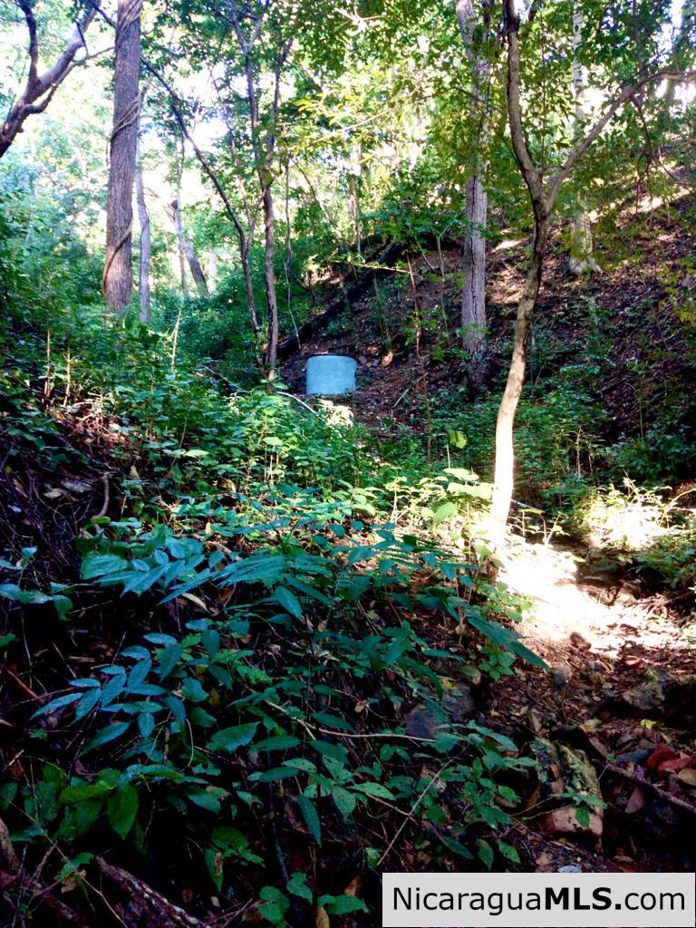 Beautiful lot within walking distance of Playa Maderas