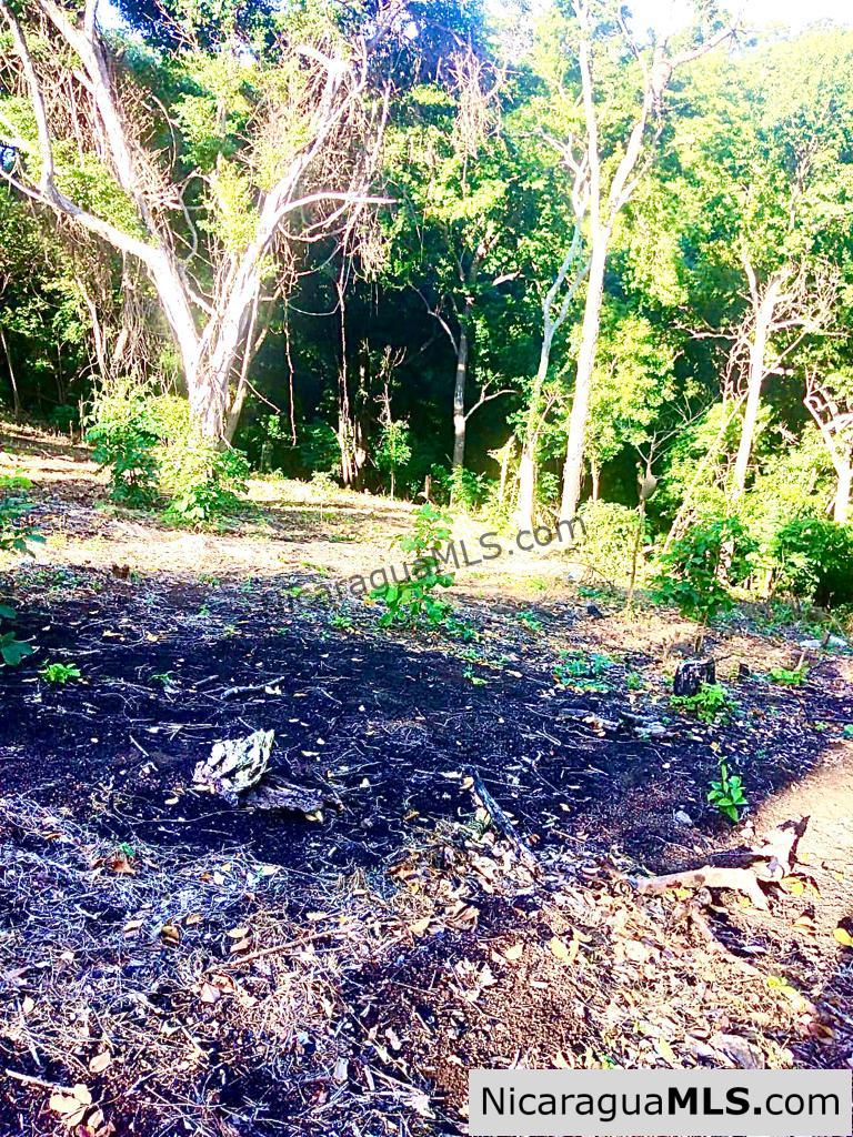 Beautiful lot within walking distance of Playa Maderas
