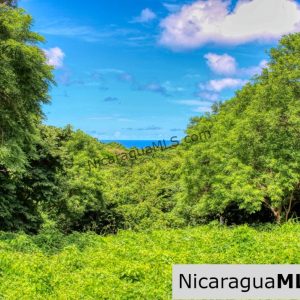 PENDING - Ocean views Rancho Papayal Lot 73 San Juan Del Sur