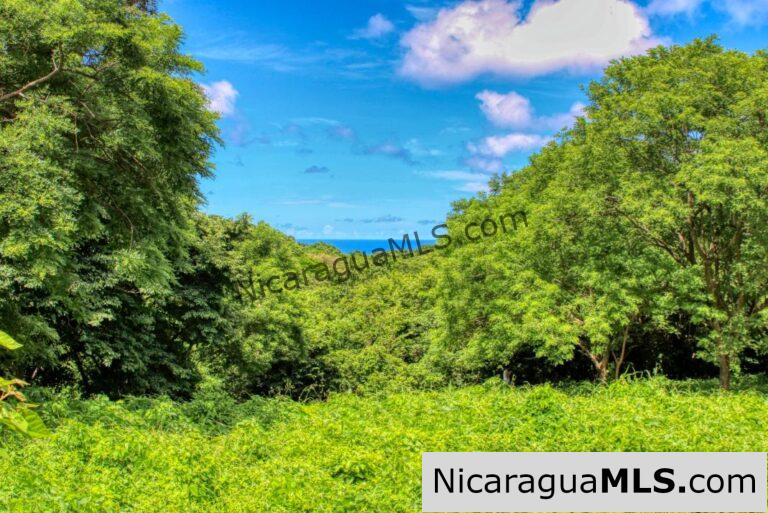 Price Reduced! Ocean & Forest View Lot in Rancho Papayal, San Juan del Sur