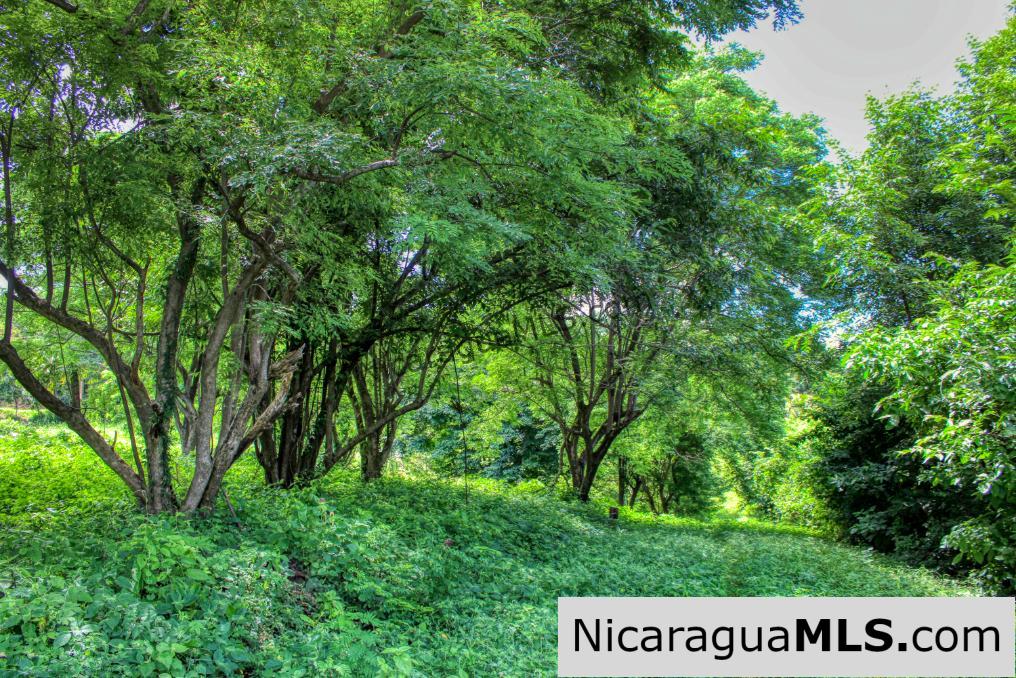 Rancho Papayal Lot 74 Beautiful Ocean and Forest Views
