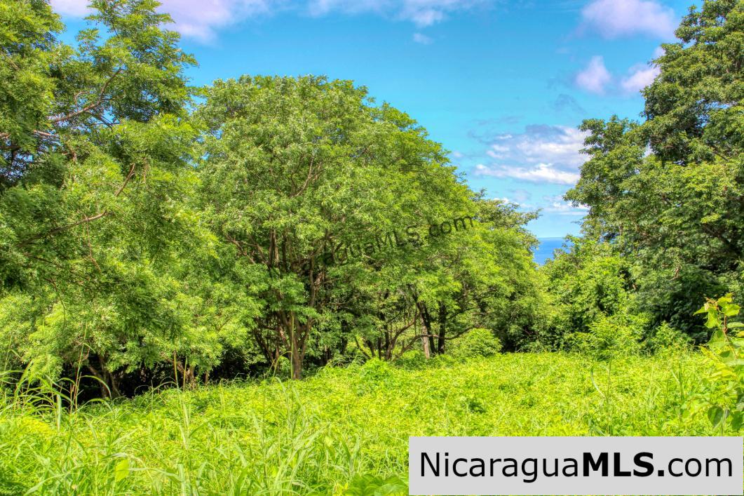 Ocean views Rancho Papayal Lot 73 San Juan Del Sur