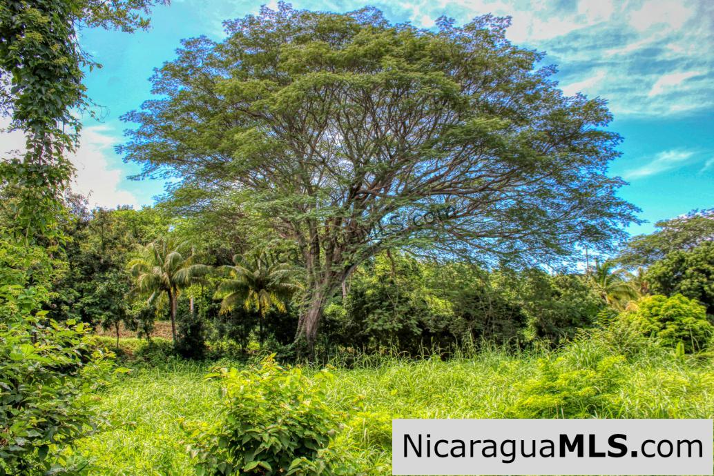 Ocean views Rancho Papayal Lot 73 San Juan Del Sur