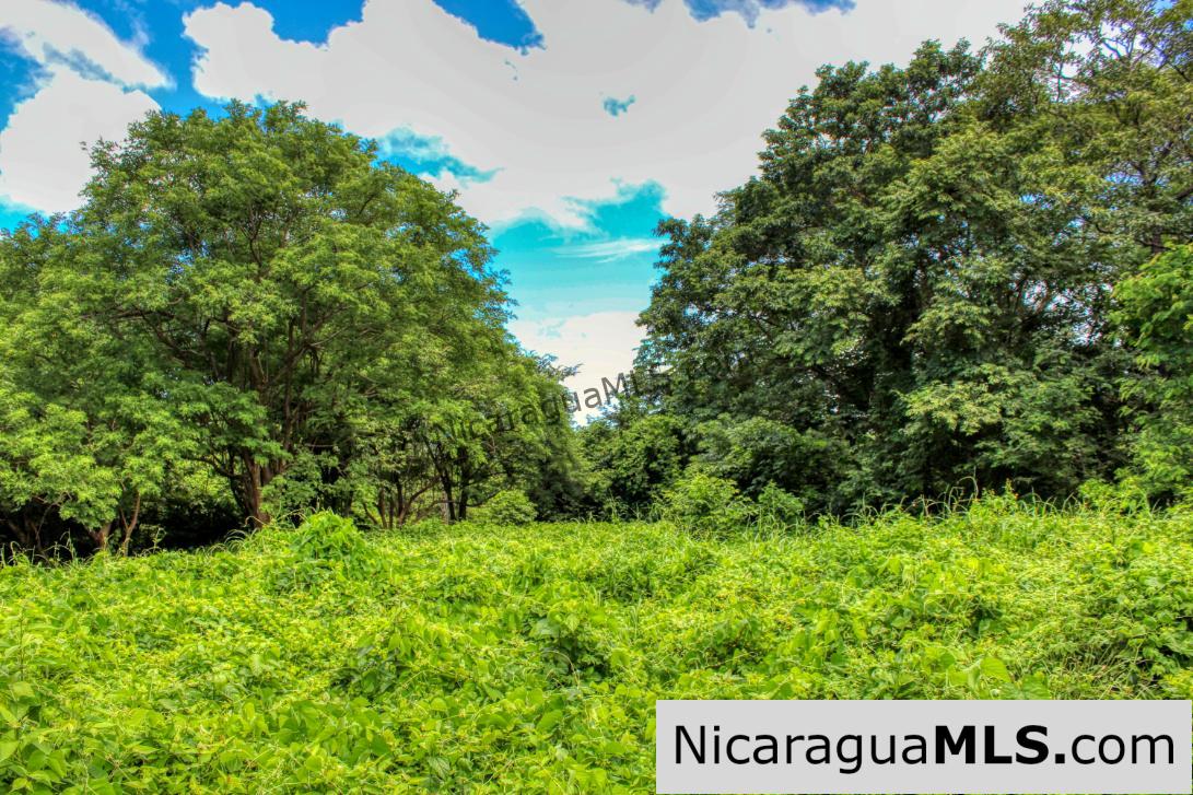 Ocean views Rancho Papayal Lot 73 San Juan Del Sur
