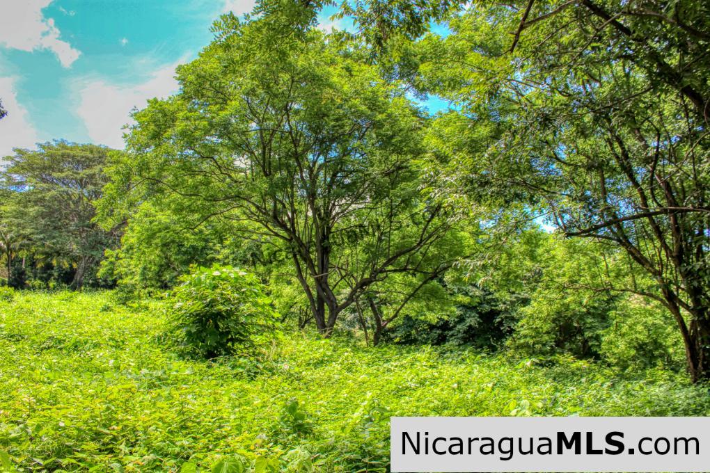 Ocean views Rancho Papayal Lot 73 San Juan Del Sur