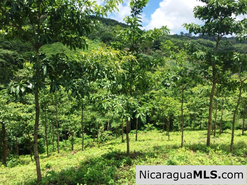 Off Grid Tranquil Paradise Only 20 Minutes North of San Juan del Sur