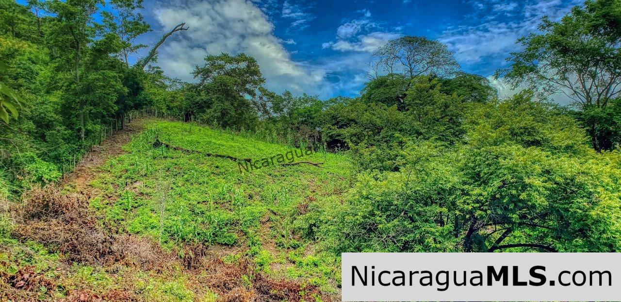 Remanso Hills View Properties