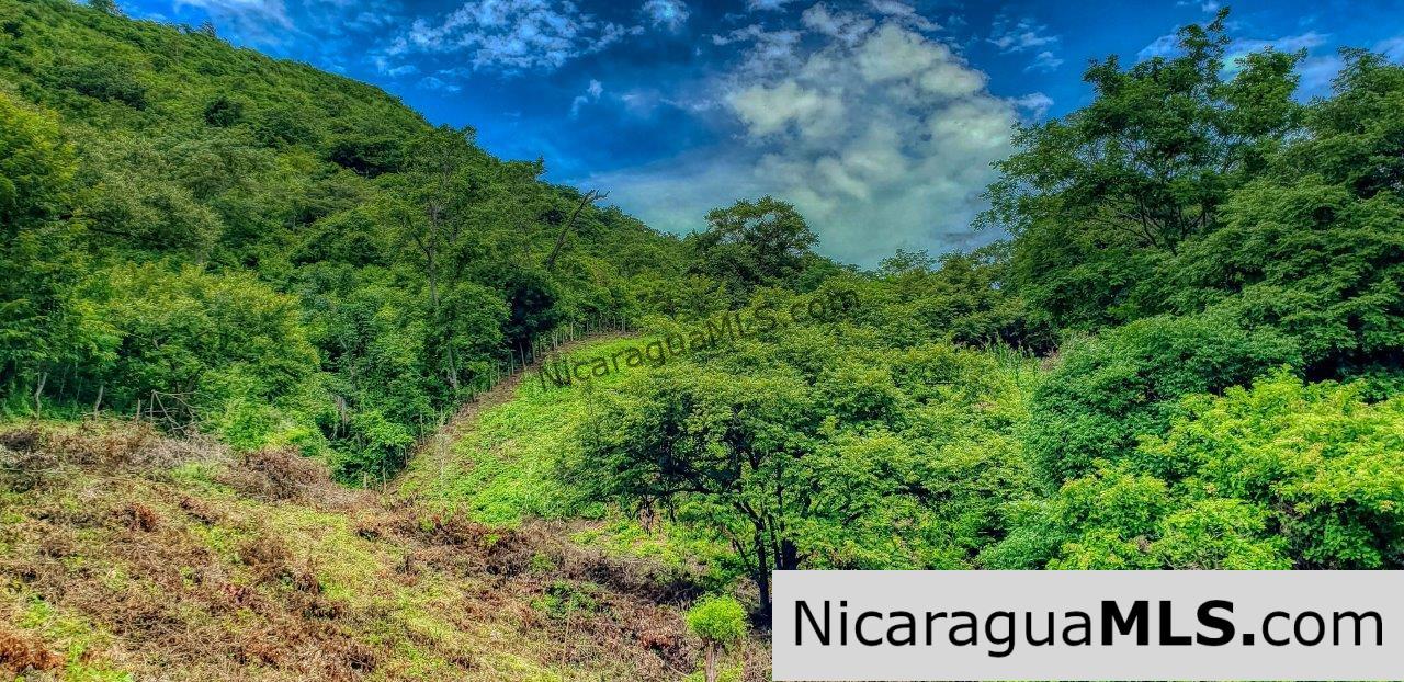 Remanso Hills View Properties