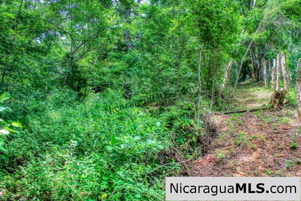 Remanso Hills Forested Views