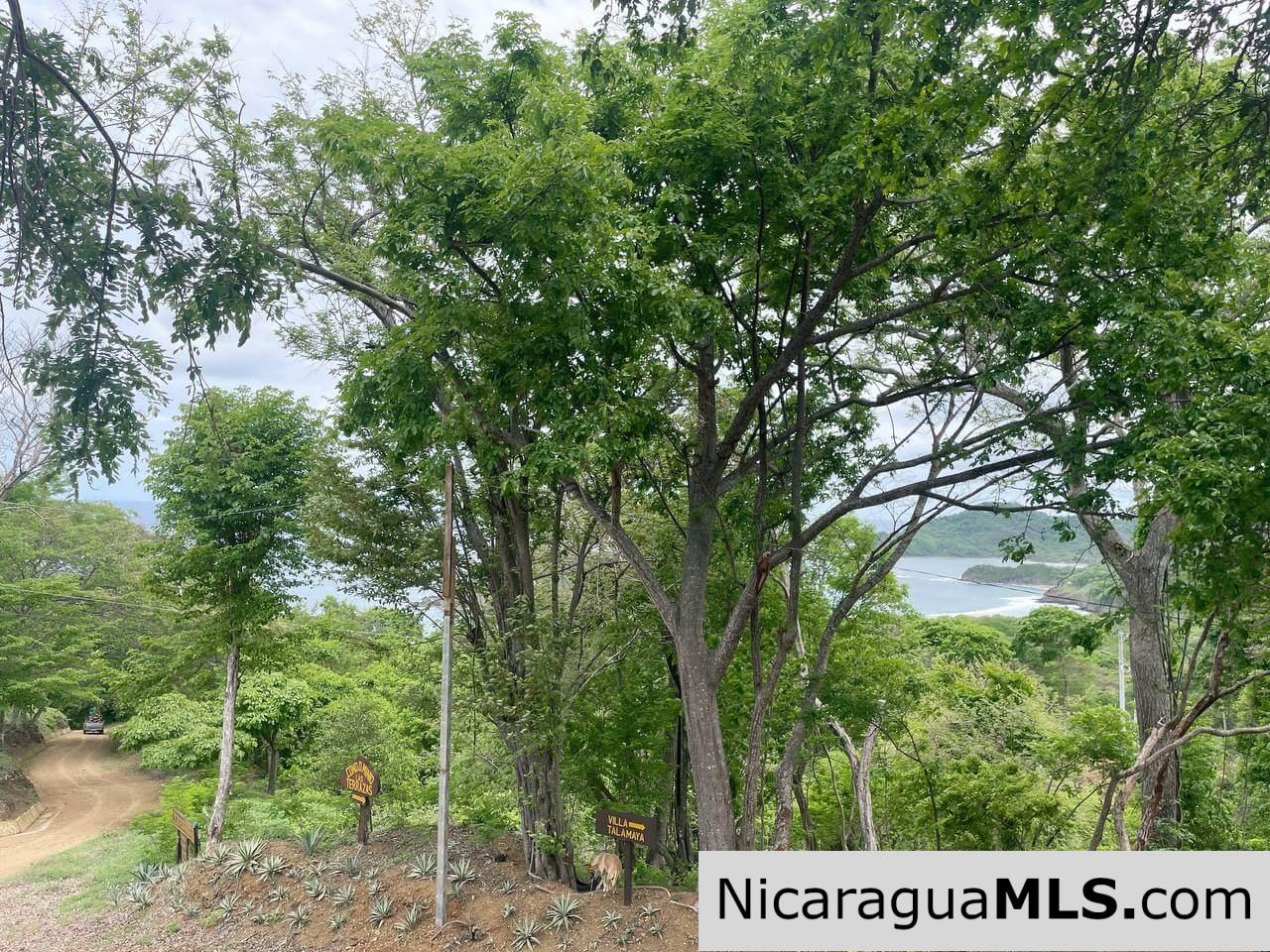 Lots in Las Terrazas de Playa Maderas.