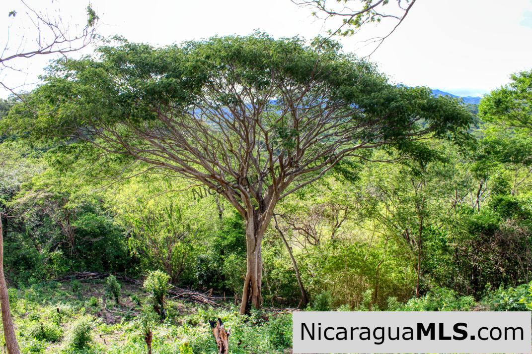 7 Acre View Homesite Minutes to San Juan del Sur Town