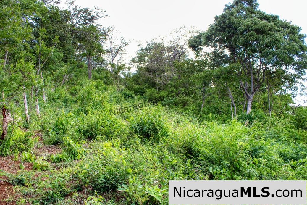 7 Acre View Homesite Minutes to San Juan del Sur Town