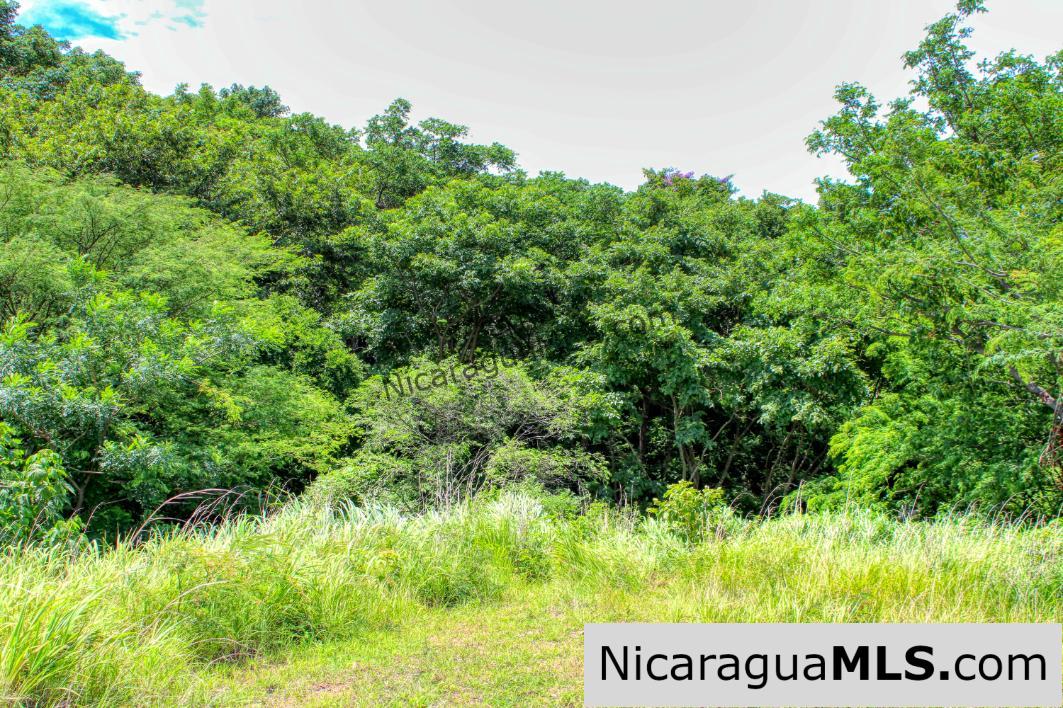 Playa Yankee Triple Ocean View Lot Near One Acre