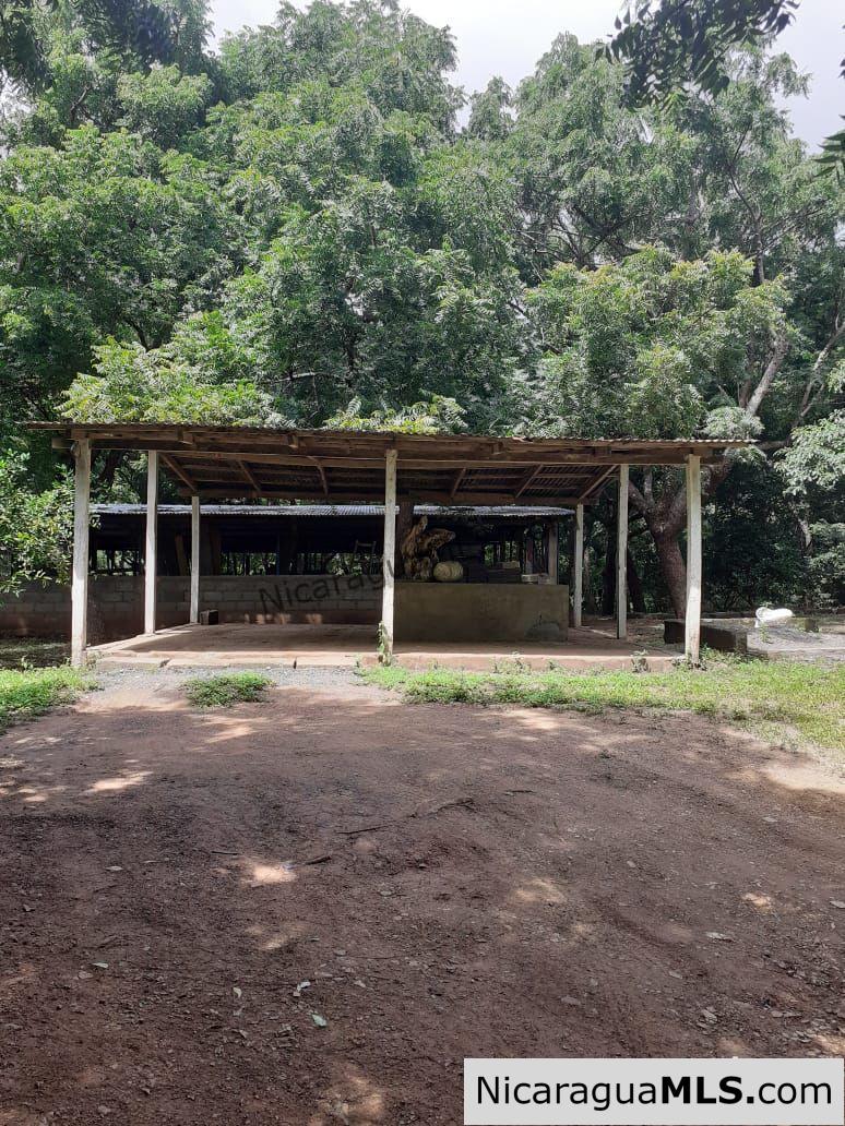 Eco Solar Home