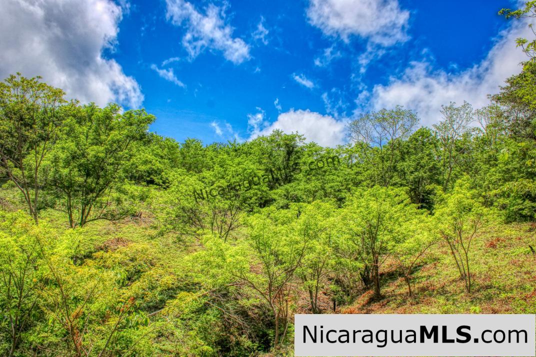 Lot 24 Arriba Verde El Carrizal San Juan del Sur