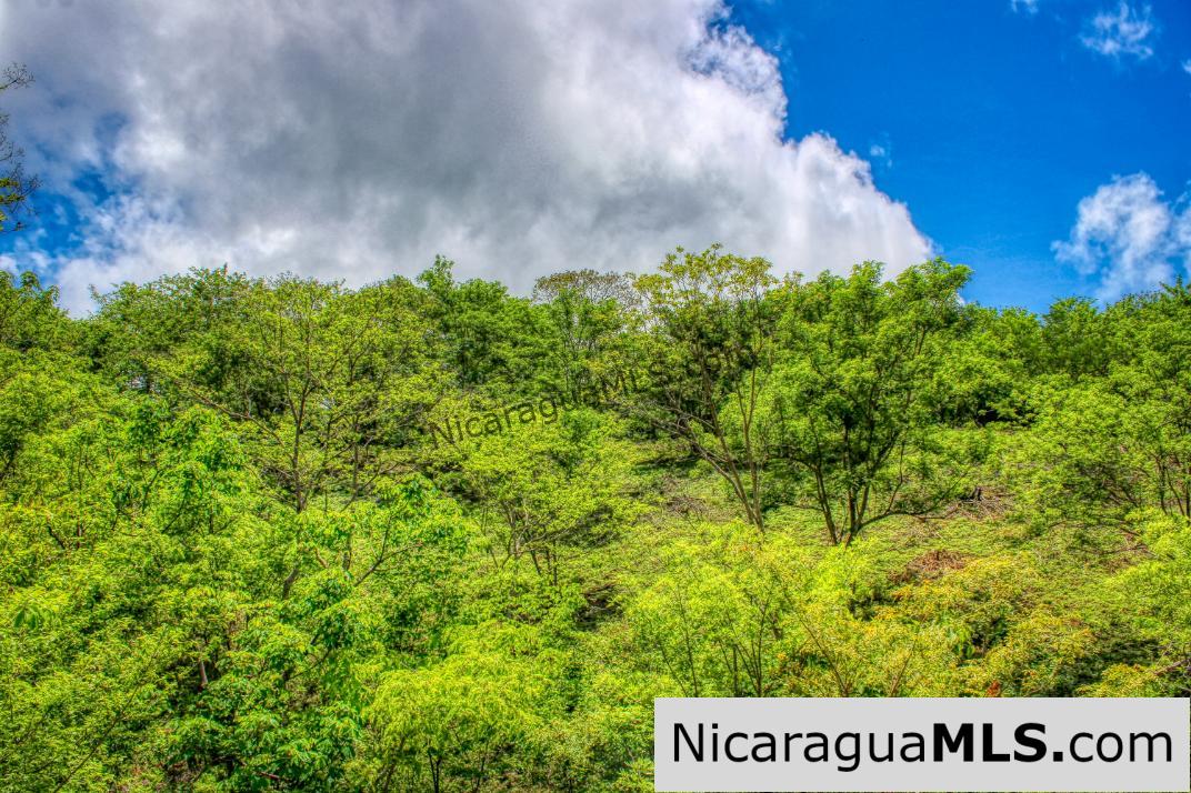 Lot 24 Arriba Verde El Carrizal San Juan del Sur