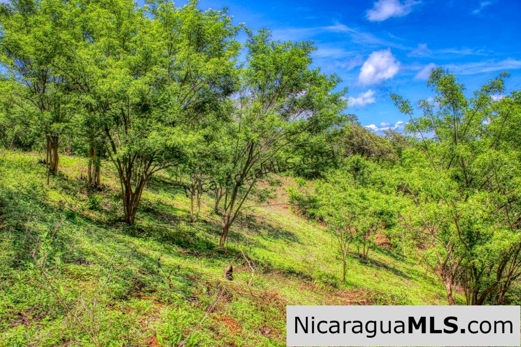 Lot 24 Arriba Verde El Carrizal San Juan del Sur