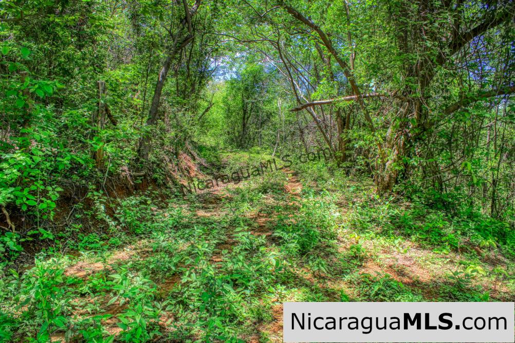 Lot 24 Arriba Verde El Carrizal San Juan del Sur