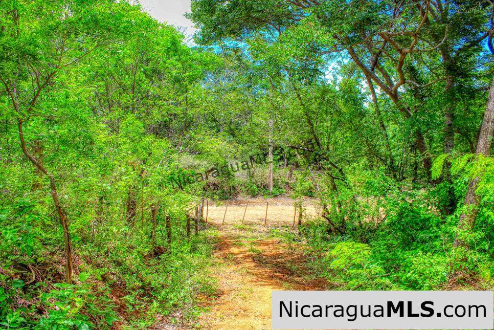Lot 24 Arriba Verde El Carrizal San Juan del Sur