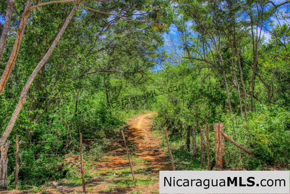 Lot 24 Arriba Verde El Carrizal San Juan del Sur