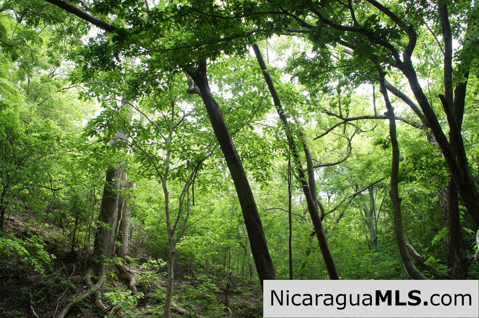 Large Development Property with Great Views, Location, and Access
