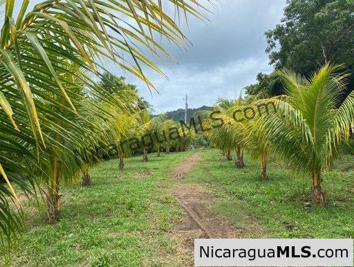 SOLD - Circle House Near Surf Ranch San Juan del Sur