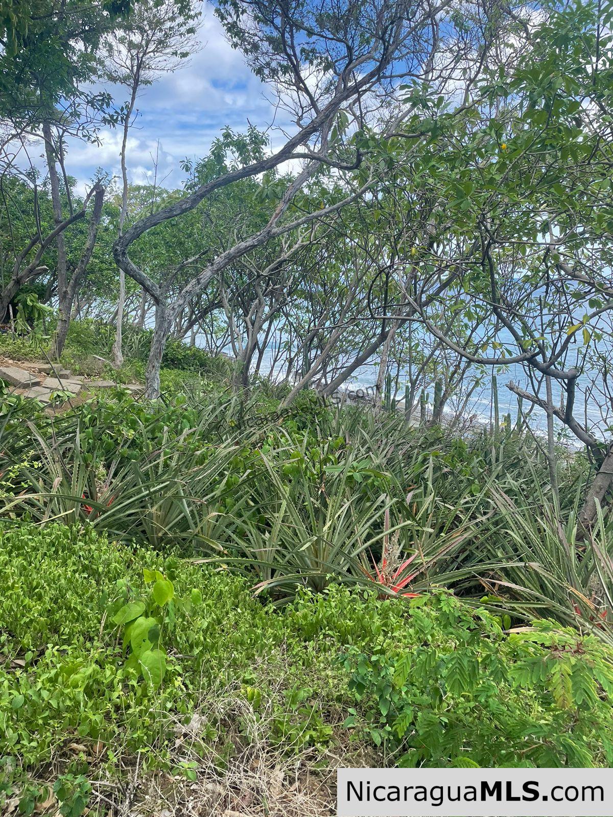 Costa Dulce Beachfront Lot B16
