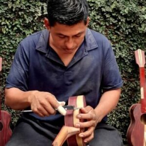 A Home, 100+ Fruit Trees, PLUS a profitable Ukulele Business?