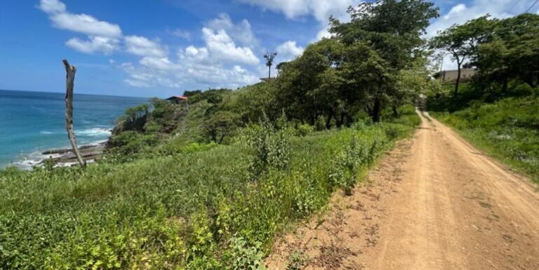 Incredible Price Update on Ocean View Lots in Playa Remanso!