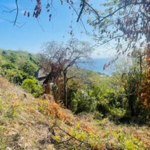 Paradise Bay Panoramic Ocean View 1/2+ Acre Lot